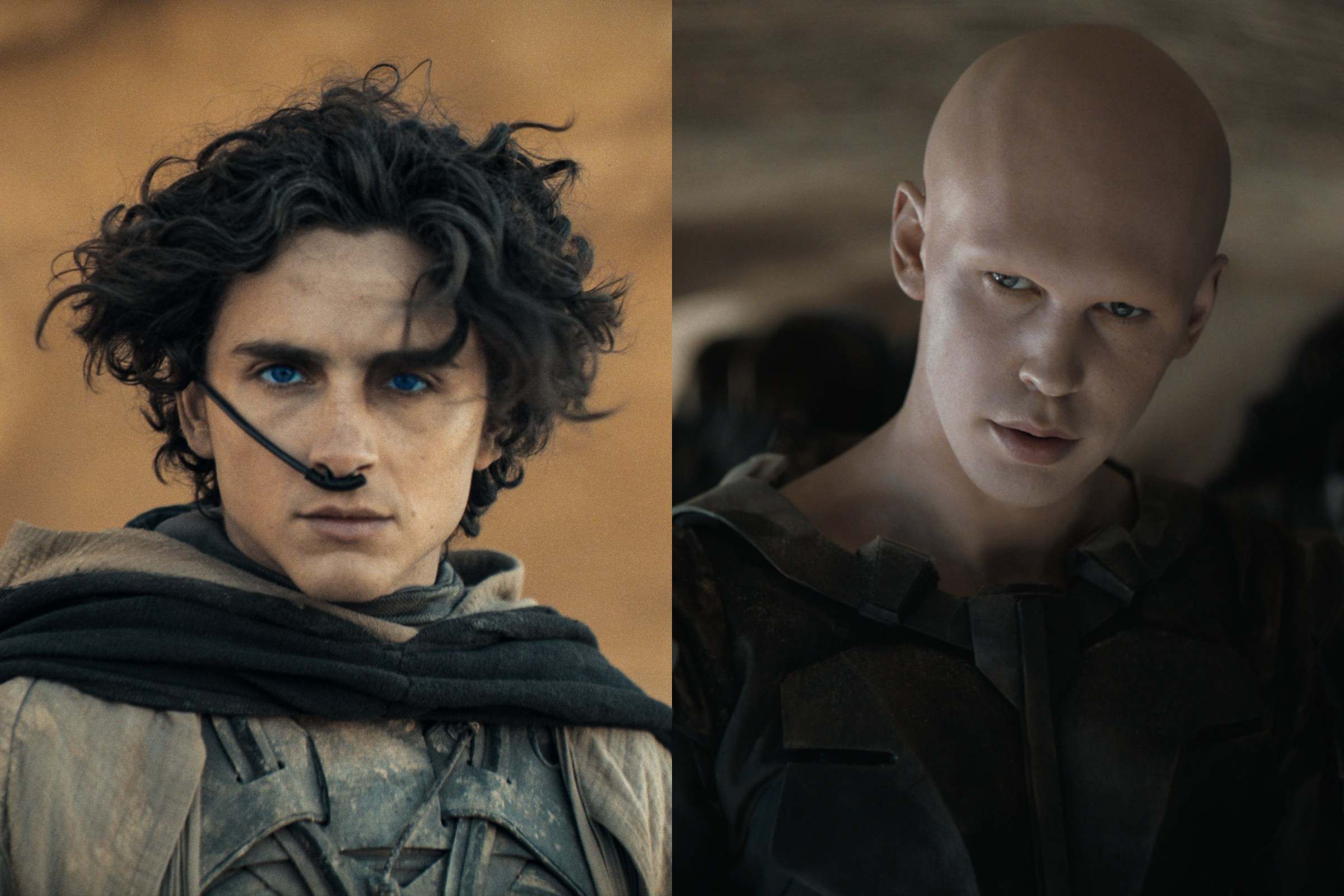 TikTok asks: What if Dune 2’s climactic fight was actually… a meet cute?